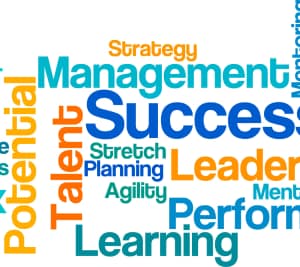 TALENT MANAGEMENT AND SUCCESSION PLANNING (TMSP)
