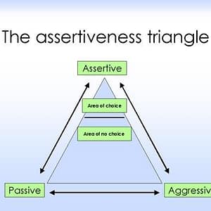 ASSERTIVENESS AND INTERPERSONAL SKILLS