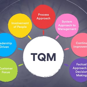 TOTAL QUALITY MANAGEMENT FOR EFFECTIVE OPERATIONS (TQMEO)