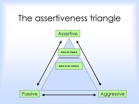 ASSERTIVENESS AND INTERPERSONAL SKILLS