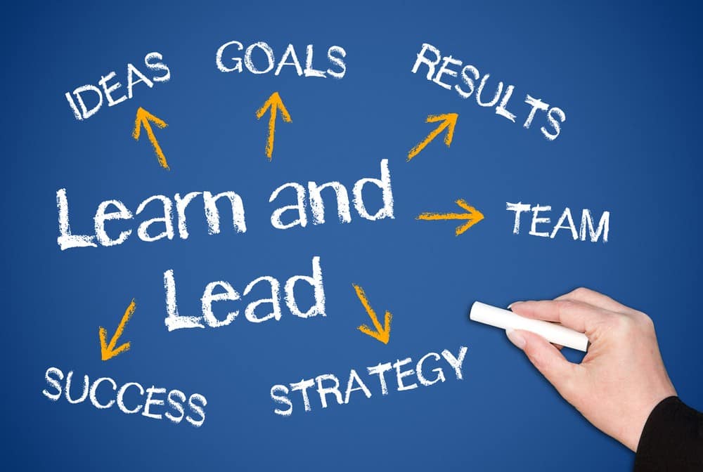 TRANSFORMATIONAL LEADERSHIP AND GOVERNANCE IN A VUCA WORLD